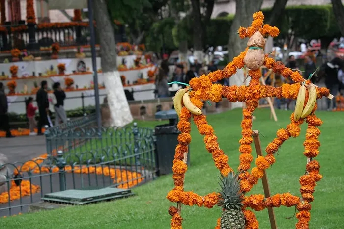 植物，人，人，水果，食物，菠萝，草，死亡日