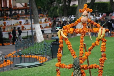 植物，人，人，水果，食物，菠萝，草，死亡日