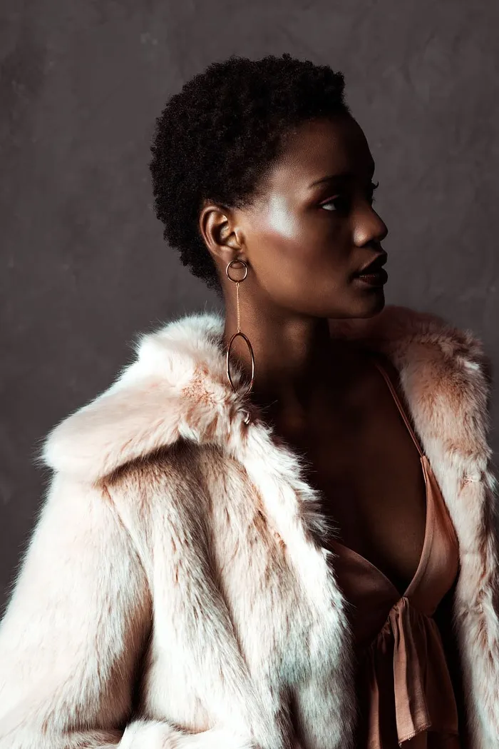 皮草照片中的高级时尚