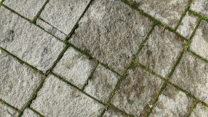 地板、纹理、苔藓、土壤、石头、铺路石、街道、路面