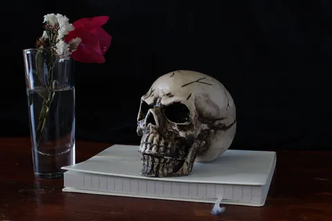 人,头骨雕像,顶,书,头骨,静物,表现,死亡 人,头骨雕像,顶,书,头骨,静物,表现,死亡