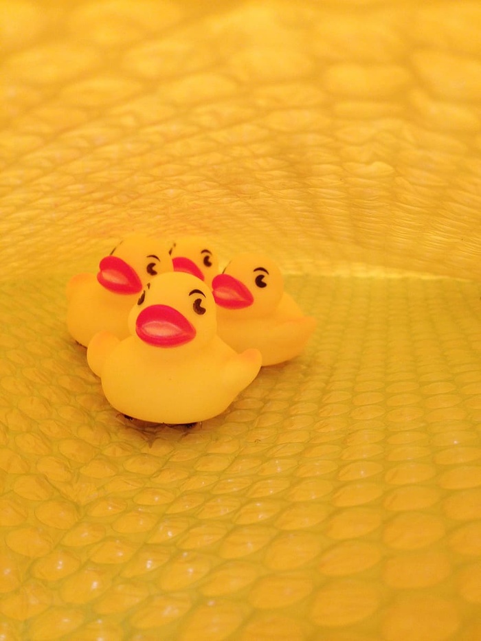 橡胶鸭，鸭子，邮件，包裹，黄色，表示，动物表示，玩具