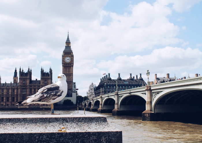 英国, 伦敦, 鸟, 大本钟, 时钟, 旅行, 英国, 蓝色