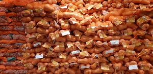 植物、农产品、食品、开普敦、南非德奎伦购物中心9号店、糖果、糖果