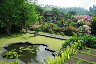印尼，巴厘岛，pura ganga，寺庙，盆地，水，花园，奇异植物