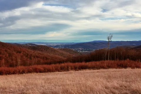 景观摄影,麦田,自然,景观,天空,农村,农业,风景 景观摄影,麦田,自然,景观,天空,农村,农业,风景