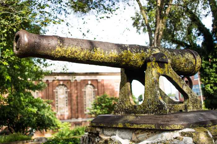 cannon，moss，history，george washington，独立战争，武器，杂草丛生，canon t6i
