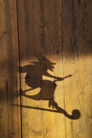 影子，女巫，木头，背景，木头材料，阳光，没有人，室内