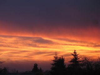 晨曦，晨曦，太阳，云朵，晨曦，日落，天空，树木