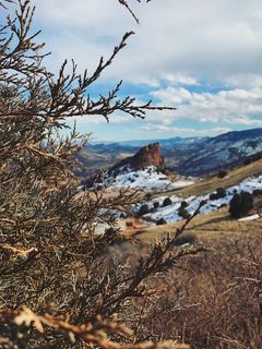 自然、荒野、户外、地面、山脉、树木、植物、高原
