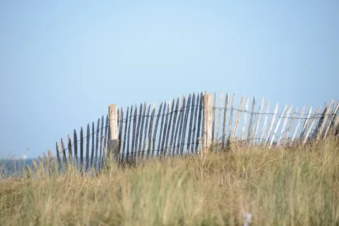 封闭、沙丘、保护、海、沙、草、海滩、自然