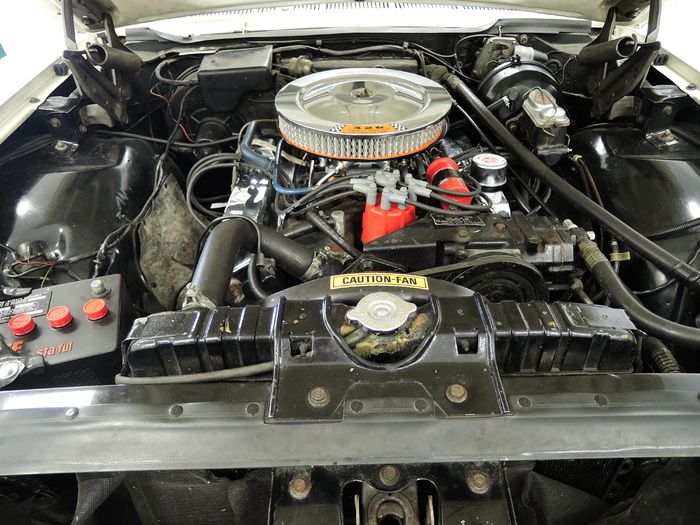 福特Xl，修复，电机，V8，Hp，1967修复电机，V8 345 Hp，4桶carb