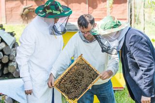 蜜蜂，养蜂人，蜂箱，养蜂，蜂王，授粉，花蜜，保持