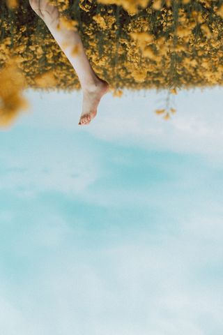 采购产品手指，植物，衣服，短裤，衣服，花，花瓣，花