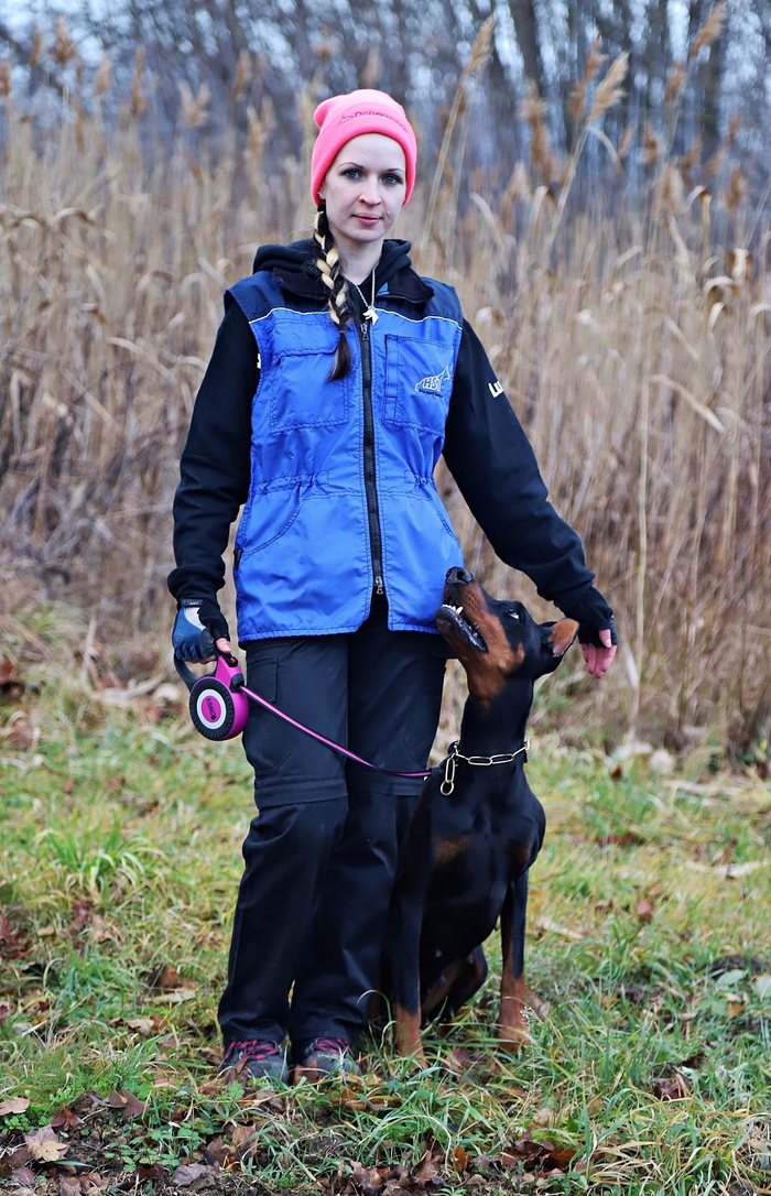 杜宾, 在看, 聪明, 狗, 爱, 土地, 真实的人, 植物
