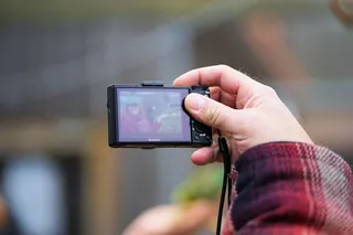 照片，拍摄快照，人，手，成人，照片，拇指，人手