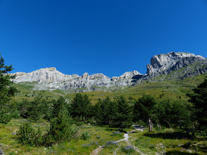 rocce del manco、rocca dei campinili、la balena、il cimonasso、cimonasso、cima delle colme、scaglie delle placche del bochino、scaglie delle bocchino
