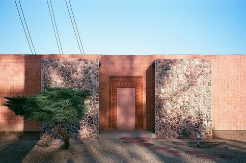 大理石框架附近的绿叶植物