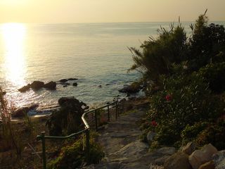 海滩、夏天、大海、沙滩、假日、假日、萨西、太阳