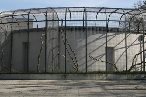 笼子、动物园、围栏、*、圈养、网格、建筑、建筑结构 笼子、动物园、围栏、*、圈养、网格、建筑、建筑结构