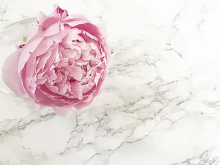 拉斯维加斯，平铺，办公桌，平铺，牡丹，牡丹，花卉，植物