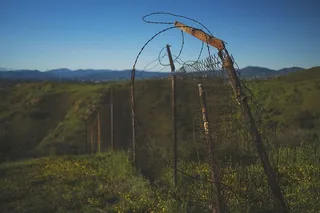 风景摄影，绿地，草地，栅栏，倾斜，移动，镜头，摄影