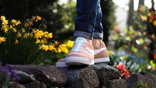 穿着粉色Nike Low-top运动鞋的人踩在鲜花环绕的石头上