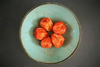 酸浆，酸浆，植物，蔬菜，浆果，装饰，手电筒，亚洲