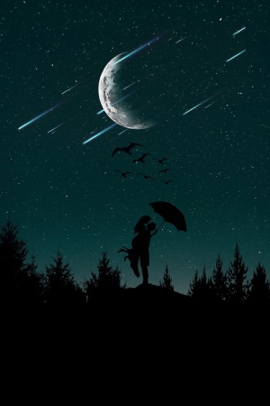 第二，人，夜晚，夜晚，爱情，天空，女人，浪漫