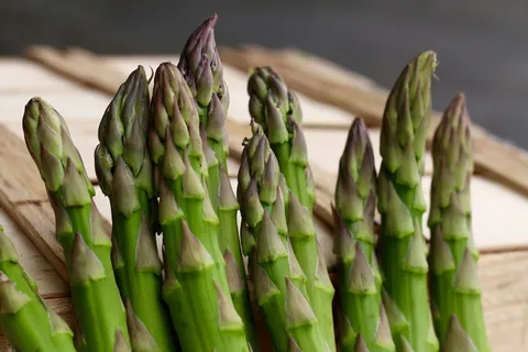 芦笋,绿色,蔬菜,新鲜,健康,素食,蔬菜,食品 芦笋,绿色,蔬菜,新鲜,健康,素食,蔬菜,食品