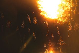 荷兰，sneek，sunrise，orange，lightrays，sunrays，sun，lake