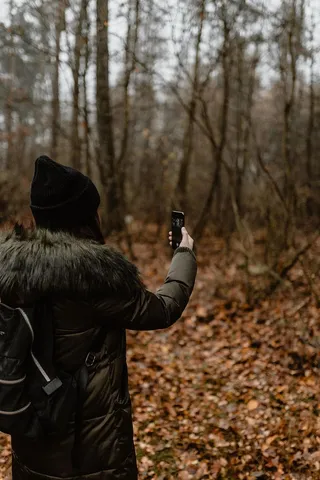 秋天在雾天向森林走去