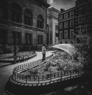 伦敦、花园、园丁、水、自行车、城市、老歌、黑白