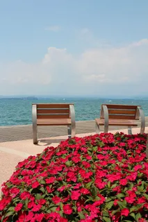 展望、结对、嘉达、银行、休息、放松、意大利、美景