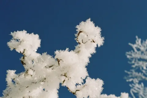 白霜,固体沉淀,形状奇异,成熟,劳弗罗斯特,扫描kb直径,天空,白色 白霜,固体沉淀,形状奇异,成熟,劳弗罗斯特,扫描kb直径,天空,白色