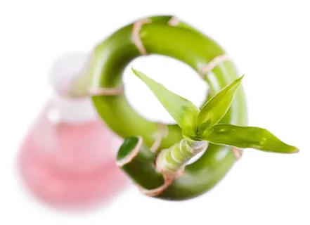 竹子,瓶子,化学,创造,文化,dna,生态,环境 竹子,瓶子,化学,创造,文化,dna,生态,环境