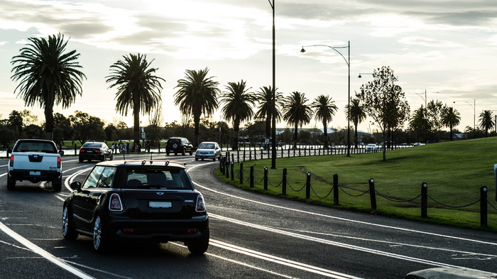 阿尔伯特公园，道路，汽车，线路，树木，林荫大道，树，树叶