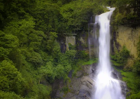 斯里兰卡，瀑布，森林宁静，长时间暴露，丘陵，兰博达瀑布，树木，植物