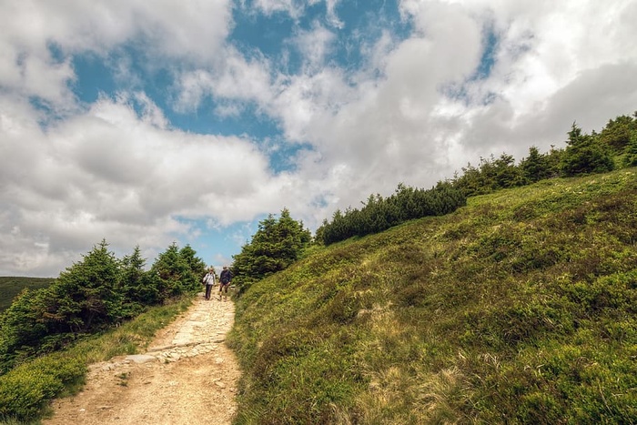 风景优美的经典山路，天气宜人