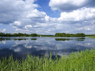 水体附近的绿色草地