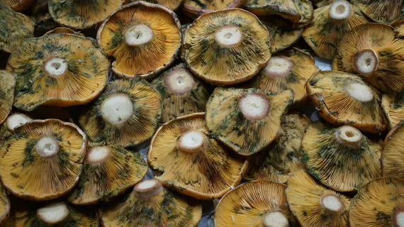 蘑菇、市场、巴塞罗那、拉博克利亚、营养、农业、背景、全框架