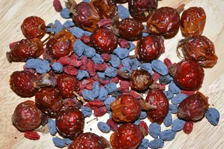 巴伯里、十大功劳、浆果、天然药物、有机、维生素、浆果干、营养