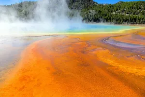 橙色细菌垫、温泉、游泳池、黄石公园、国家公园、怀俄明州