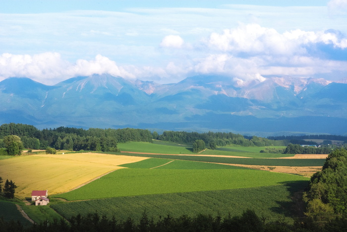 日本，北海道，别伊，乡村，风景——自然，自然之美，风景，山脉