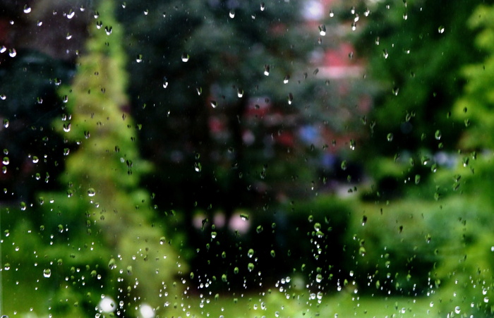 雨、滴、窗、树、水、滴、自然、潮湿