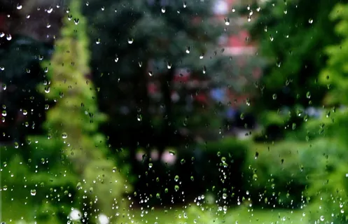雨、滴、窗、树、水、滴、自然、潮湿 雨、滴、窗、树、水、滴、自然、潮湿