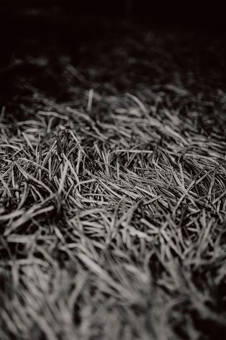 灰色地毯纹理特写