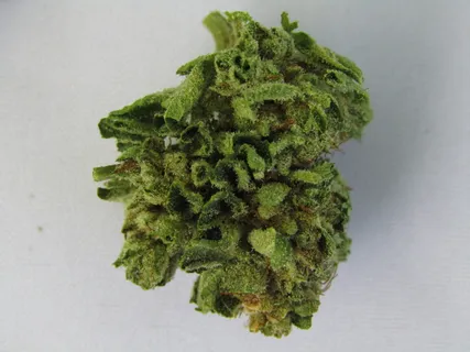 大麻,大麻芽,420,大麻,绿色,食物,室内,特写 大麻,大麻芽,420,大麻,绿色,食物,室内,特写