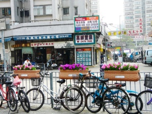 栅栏旁的自行车、自行车、街道、风景、花卉、老城、城镇