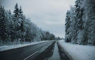 在积雪覆盖的高大树木之间铺设灰色道路